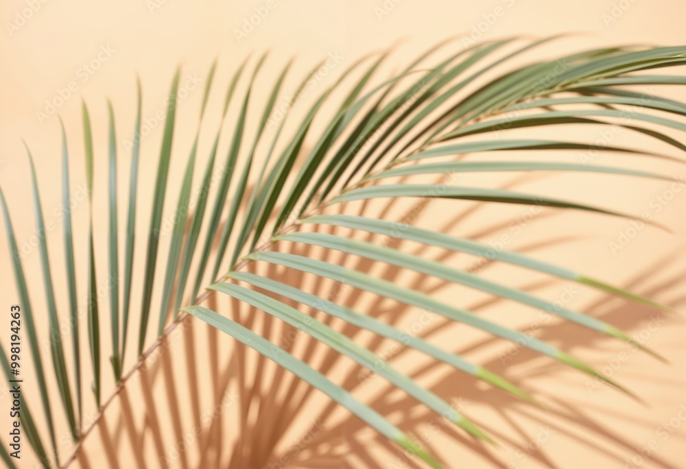 Obraz premium A close-up image of a single, light green palm leaf with long, thin, and curved leaves casts a shadow on a peach-colored background, creating a serene and tranquil scene