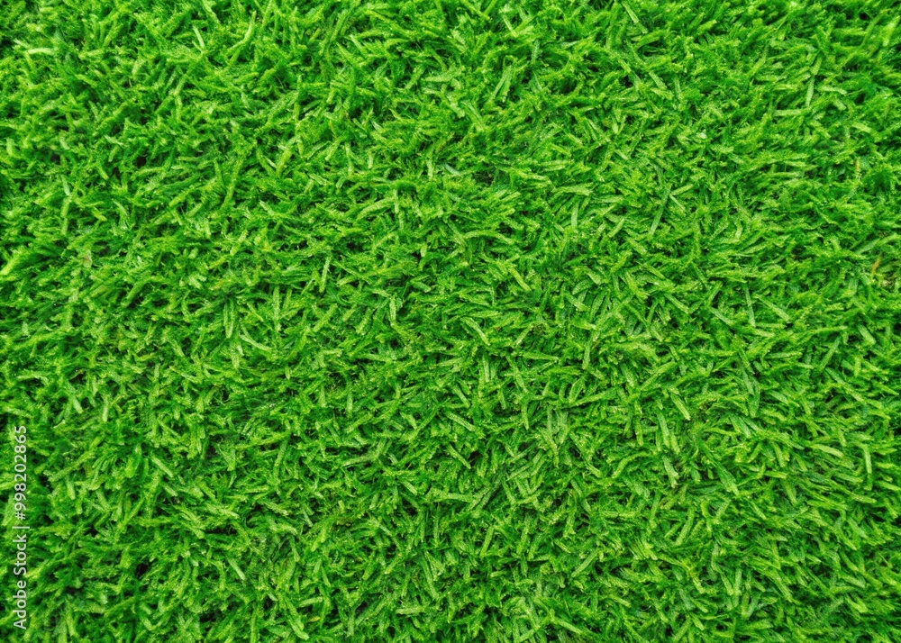 Vibrant Seamless Grass Texture for Backgrounds, Designs, and Natural Landscapes in Various Projects Vibrant Seamless Grass Texture for Backgrounds, Designs, and Natural Landscapes in Various Projects