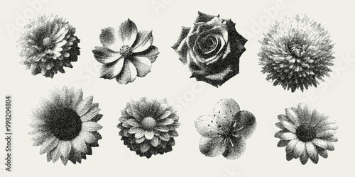 Vector flowers trendy retro effect. Modern stipple dots texture for design art. y2k collage set with grain effect.