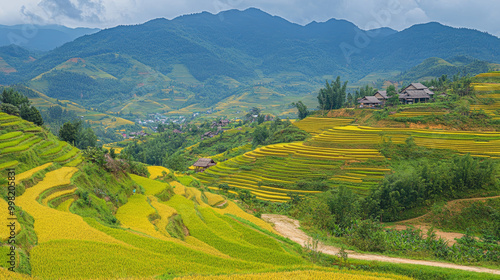 Viewpoint of rice fields and terraced rice paddies along the road 