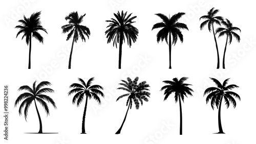 PNG palm tree silhouette element set, transparent background