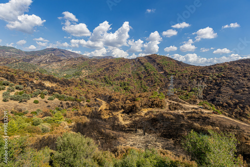 The situation after the forest fire in Izmir-Yamanlar Mountain on August 17, 2024.