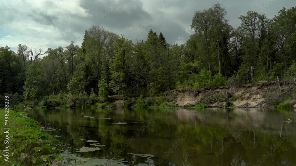 Wild green forest with a river in the background Wild green forest with a river in the background