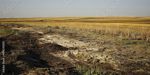 Ravaged Landscape: Desolate fields, scarred earth, displaced wildlife.