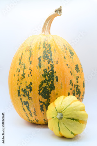 Obraz na płótnie Different varieties of pumpkins on a white background w salonie