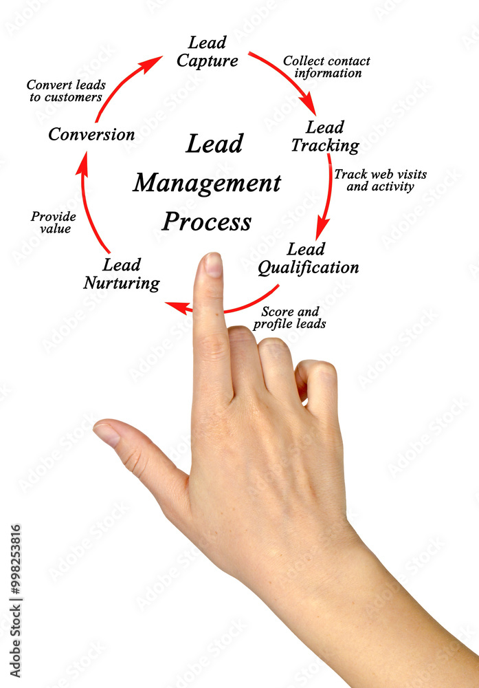 Components of Lead Management Process. Components of Lead Management Process.