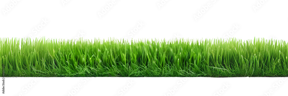 Fototapeta premium green grassland landscape isolated on white