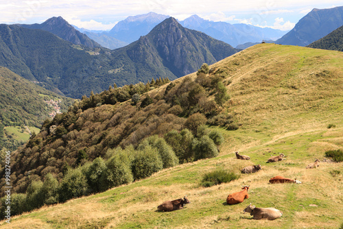 Idyllische Alpenlandschaft im Val Cavargna (Provinz Como) photo