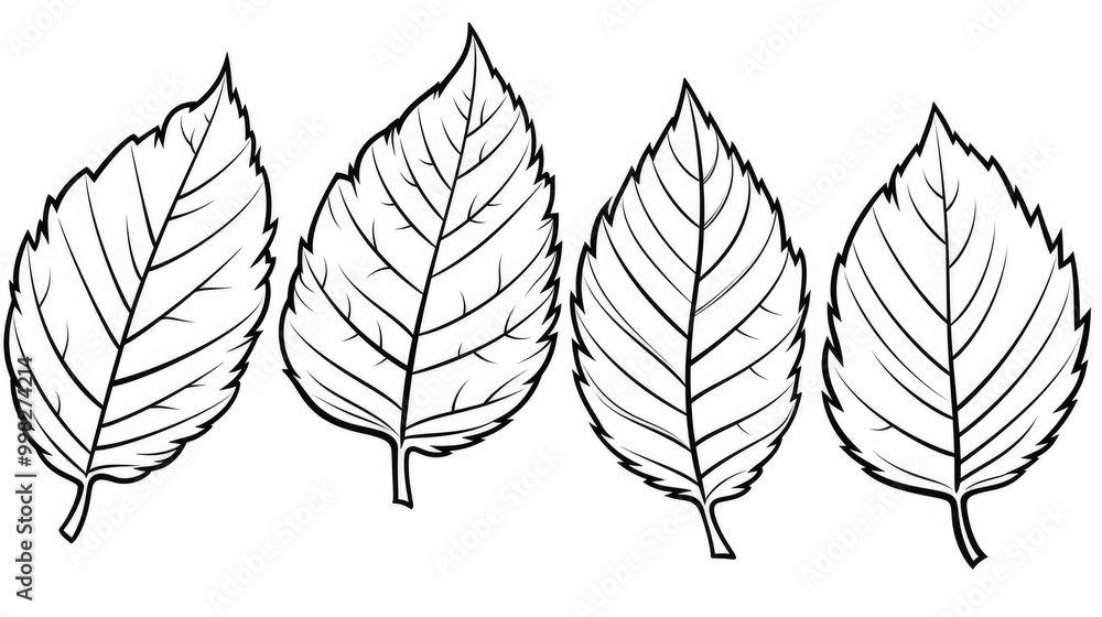 set of autumn leaves coloring page illustration set of autumn leaves coloring page illustration