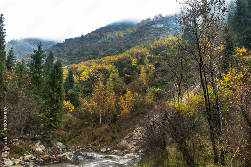 autumn forest in the mountains autumn forest in the mountains