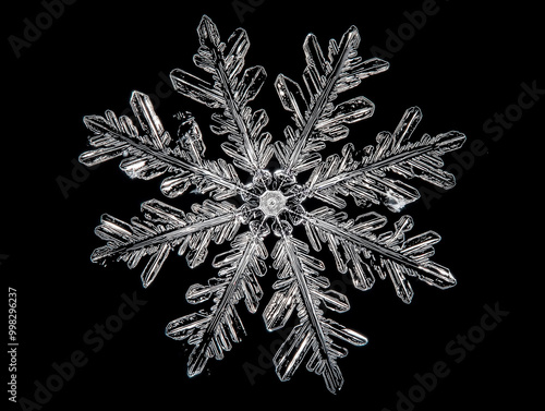 Intricate Snowflake Crystal: Nature's Frozen Geometry in Black and White