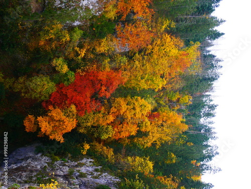 Colorful forest during autumn day in Macocha cave with colorful foliage photo