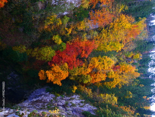 Colorful forest during autumn day in Macocha cave with colorful foliage