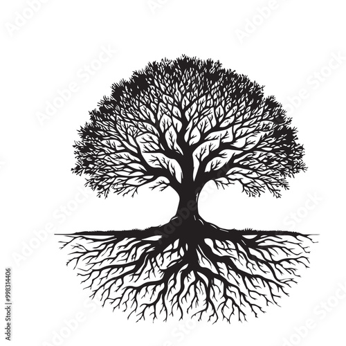 Tree silhouette. Big tree vector silhouette design. Tree with root vector illustration. Tree logo, icon black and white.