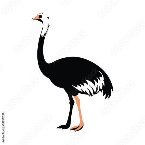 a ostrich flat design vector silhouette, isolated on white background
