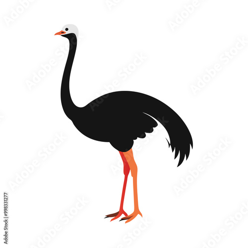 a ostrich flat design vector silhouette, isolated on white background