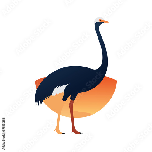 a ostrich flat design vector silhouette, isolated on white background