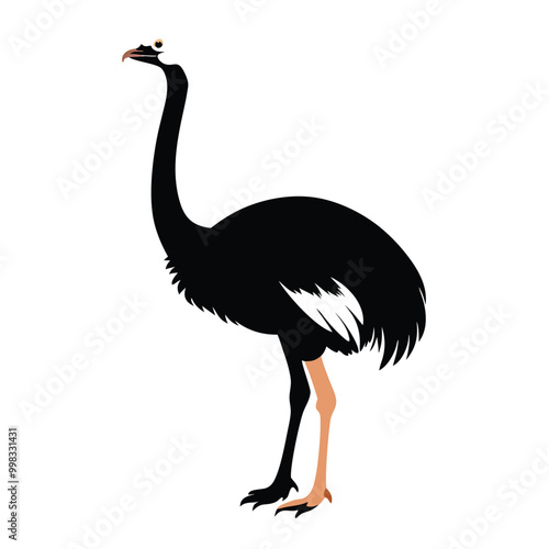 a ostrich flat design vector silhouette, isolated on white background
