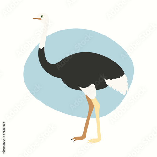 a ostrich flat design vector silhouette, isolated on white background