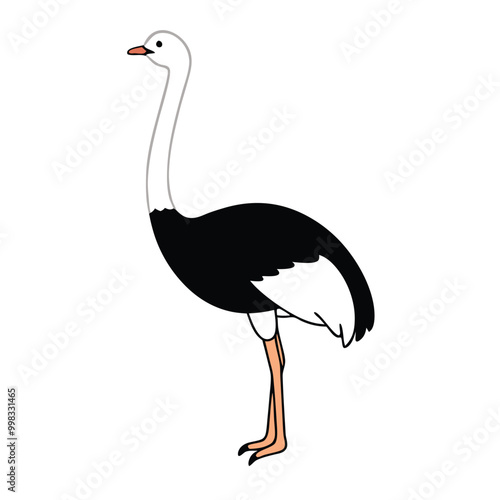 a ostrich flat design vector silhouette, isolated on white background