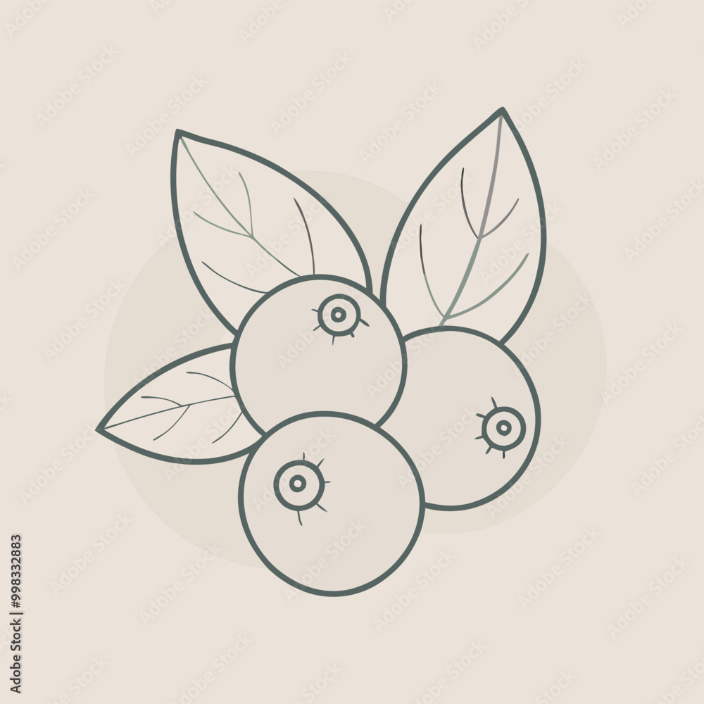 Blueberry vector illustration, outline, silhouette, isolated on white background Blueberry vector illustration, outline, silhouette, isolated on white background