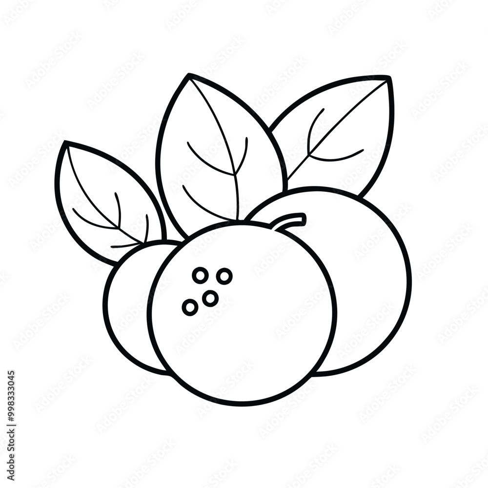 Blueberry vector illustration, outline, silhouette, isolated on white background Blueberry vector illustration, outline, silhouette, isolated on white background