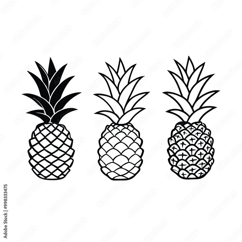 Fototapeta premium three Pineapple vector illustration, outline, silhouette, isolated on white background 