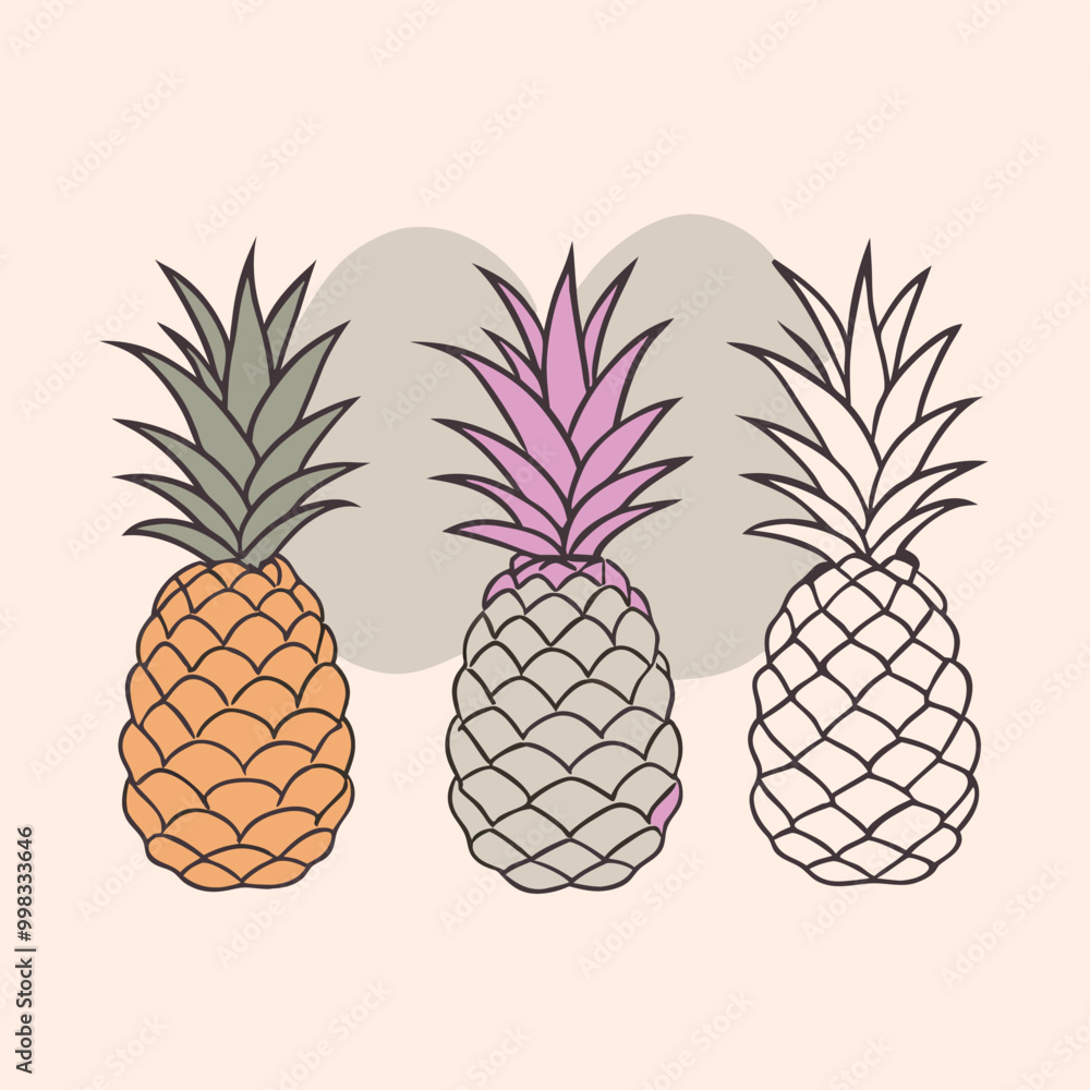 Fototapeta premium three Pineapple vector illustration, outline, silhouette, isolated on white background 
