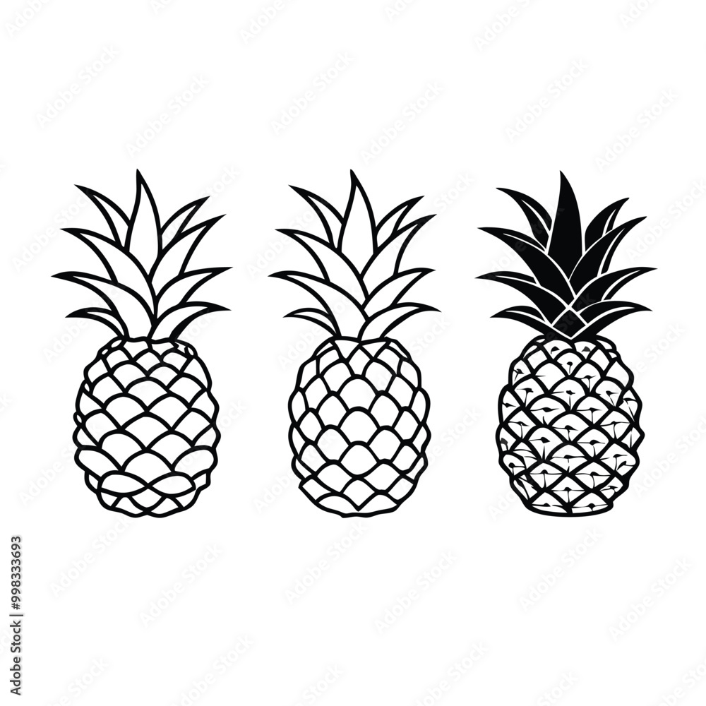 Fototapeta premium three Pineapple vector illustration, outline, silhouette, isolated on white background 