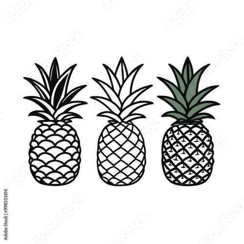 three Pineapple vector illustration, outline, silhouette, isolated on white background 