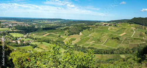 Vineyards around the village of Chateau Chalon, in the French Jura, known for its local wines made of savagnin grapes  photo