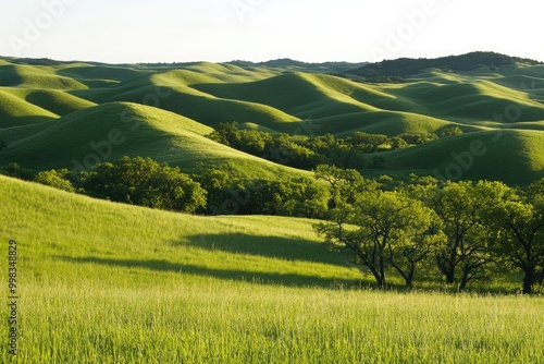 Rolling green hills with soft curves, vibrant grass, and trees scattered throughout