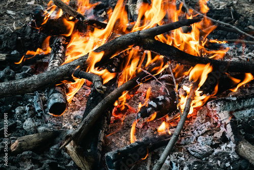 fire burning in a fireplace