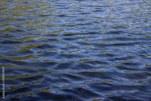 ripples on the water