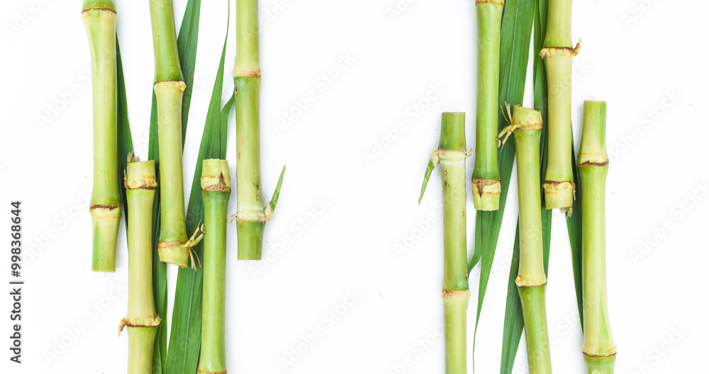 beautifull bites of suger cane with green leafes Ginger and full suger cane, Fresh sugarcane stem , sugarcane one of the main cash crop of India beautifull bites of suger cane with green leafes Ginger and full suger cane, Fresh sugarcane stem , sugarcane one of the main cash crop of India