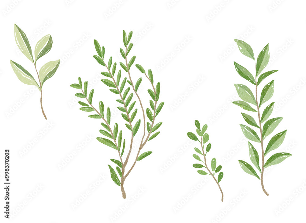 Naklejka premium An exquisite and artistic collection of handpainted green leaves and beautiful foliage