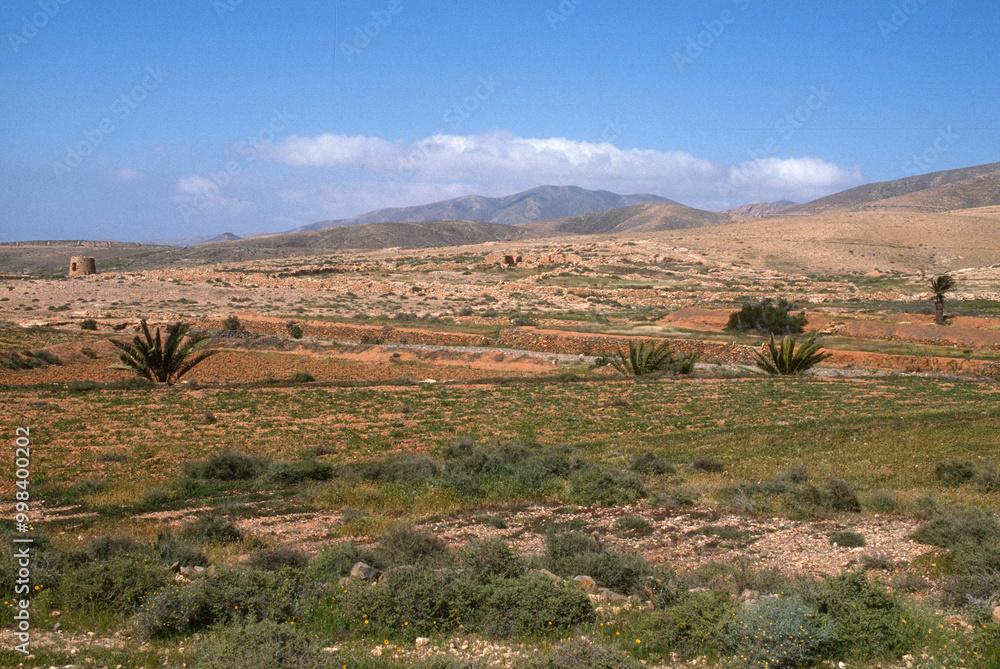 Ile de Lobos, parc natural de Corralejo, Ile de Fuerteventura, Iles Canaries, Espagne Ile de Lobos, parc natural de Corralejo, Ile de Fuerteventura, Iles Canaries, Espagne
