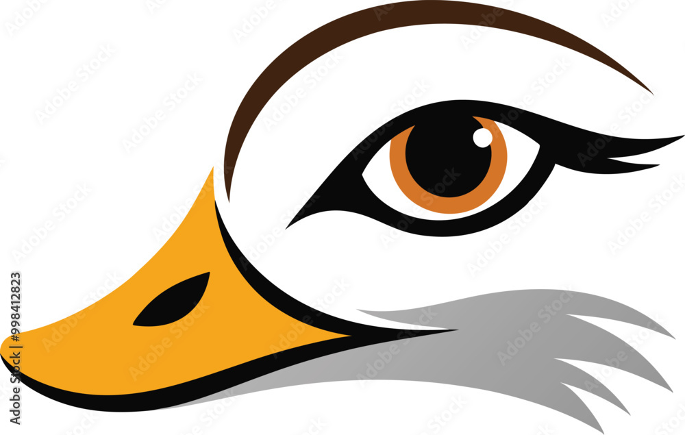 Beautiful Close Up of a Duck Eye Vector Illustration Beautiful Close Up of a Duck Eye Vector Illustration