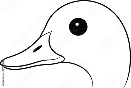 Captivating Duck Eye Close Up Vector Art 