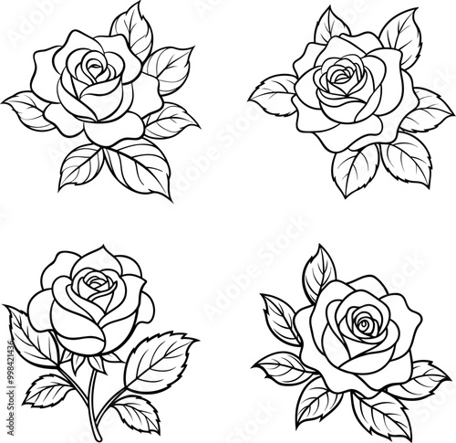 Rose flowers Collection