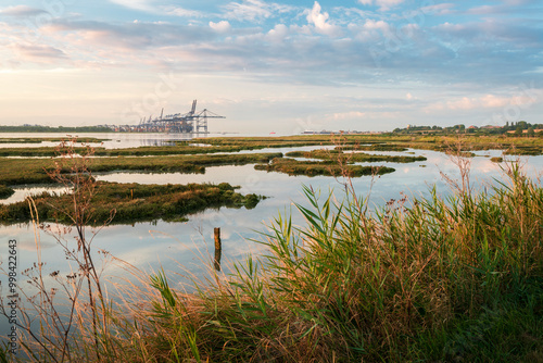 Summer Morning at Shotley Marsh