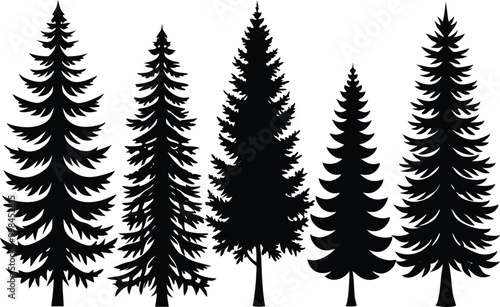 Silhouettes of different kind of Spruce trees stock illustration.