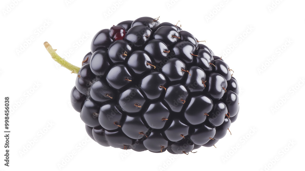 Organic blackberry fruit image isolated transparent. Ripe brambleberry cut out photo png. Healthy dewberry. Thorny rubus fruticosus. Bramble berry cutout element object photography