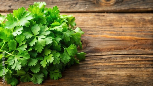 Fresh green coriander leaves , herb, garnish, cooking, culinary, ingredient, fresh, health, organic, plant, spice, aroma