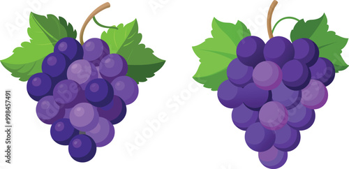 colorful Grapes  vector Bunch of grapes with green leaf 
