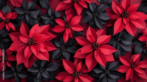 Vibrant red and black poinsettia flowers on a rich background.