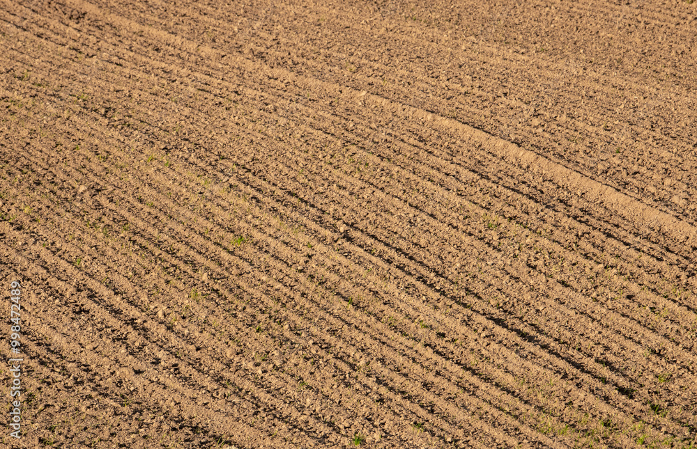 Close-up with a plot of agricultural land after sowing Close-up with a plot of agricultural land after sowing