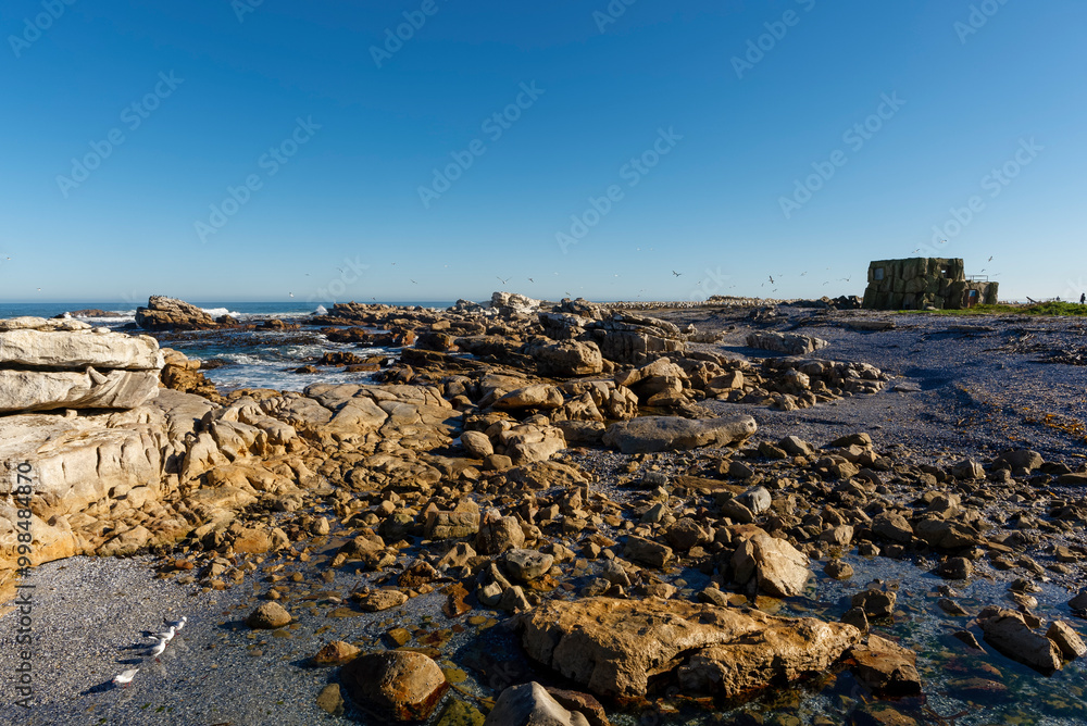 Φωτογραφία View of Bird Island, location of onf of 3 Cape gannet (Morus capensis) colonies in South Africa