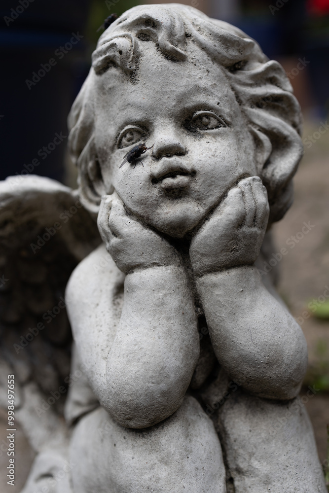 A close-up of a stone angel statue with a fly resting on its face. The contrast between the delicate sculpture and the fly creates an interesting and unexpected visual juxtaposition. A close-up of a stone angel statue with a fly resting on its face. The contrast between the delicate sculpture and the fly creates an interesting and unexpected visual juxtaposition.