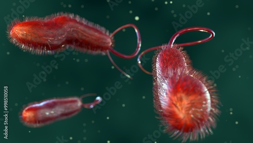 Tableau sur toile 3d rendering of Shewanella are rod-shaped bacteria found in marine environments,